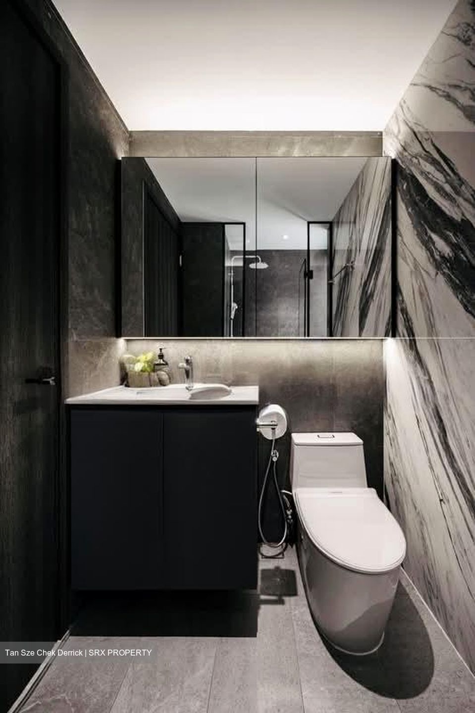 Trevista (D12), Condominium #537179821